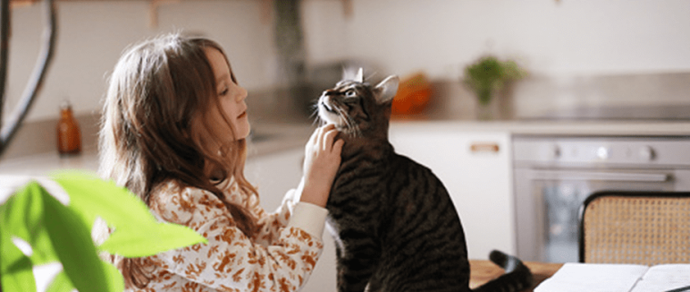 fille et chat